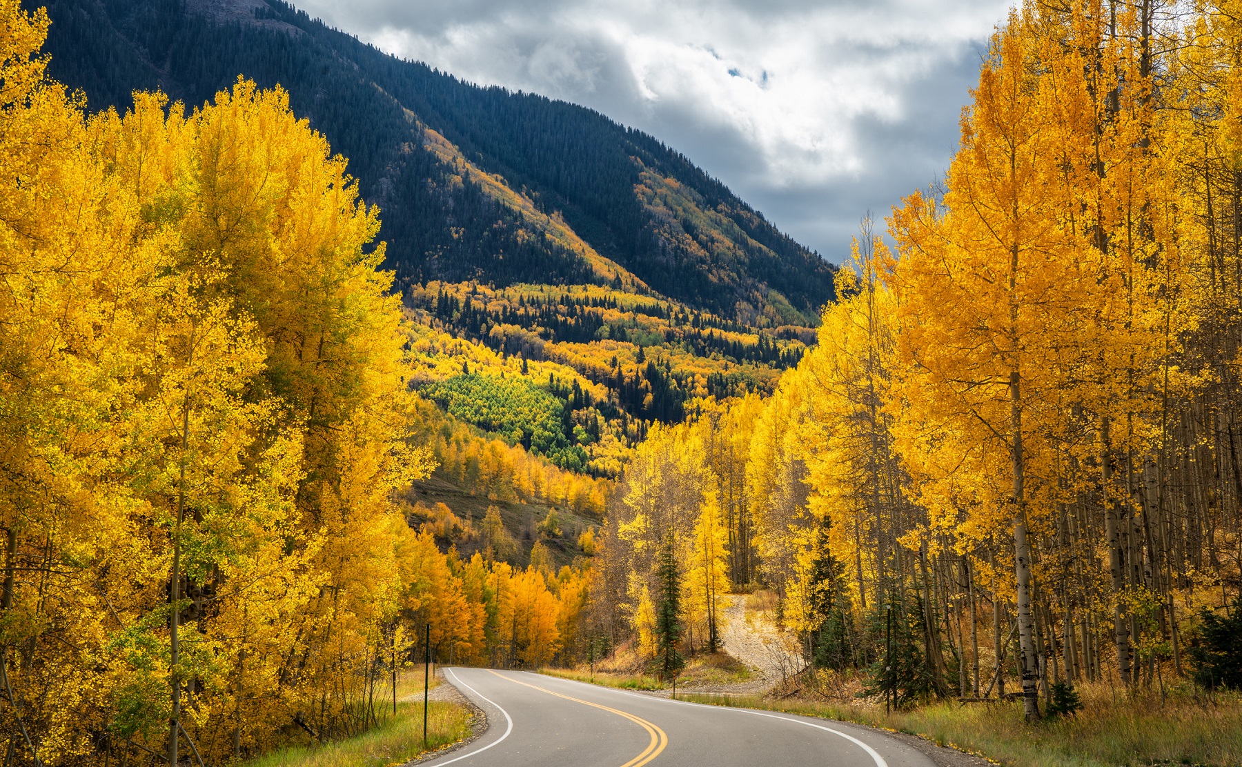 The Insider's Guide to Aspen Fall Colors and Foliage - Aspen Signature  Properties