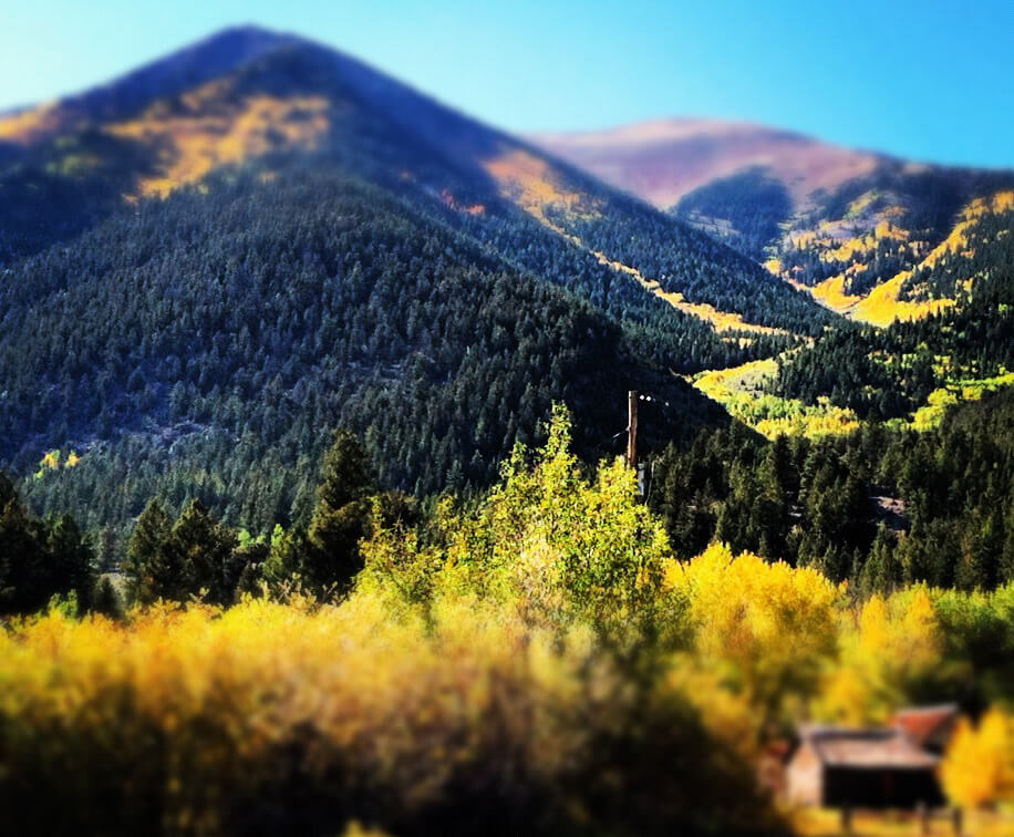 Aspen Leaf Peeping Independence Pass