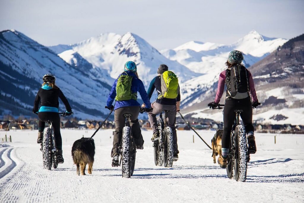 Pack of Cyclists with Pet Dogs