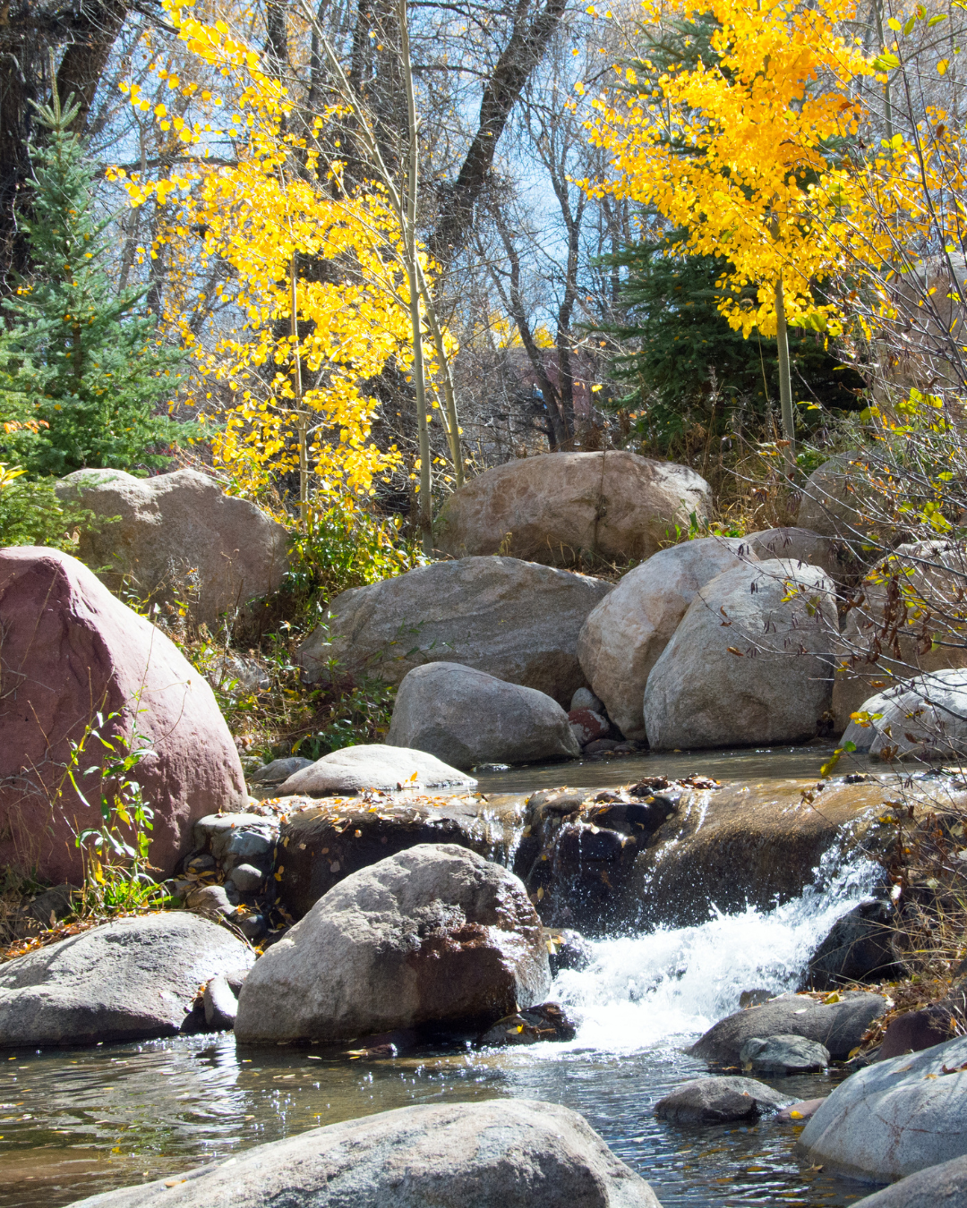 Hunter Creek Trail