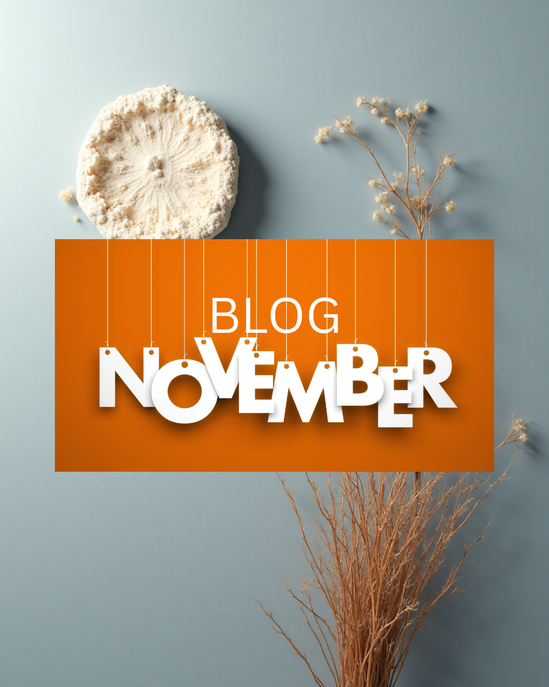 November Fall Colors