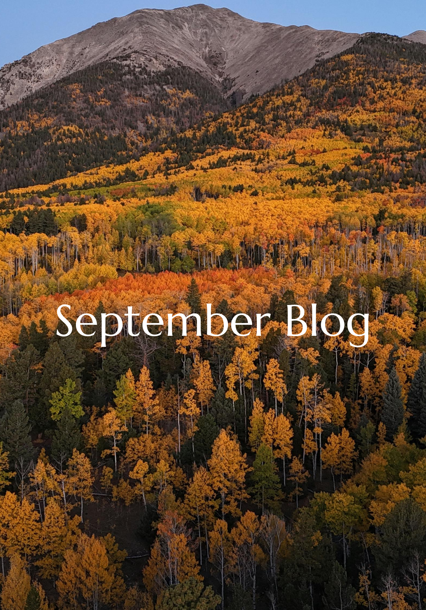 September Blog with Fall Colors