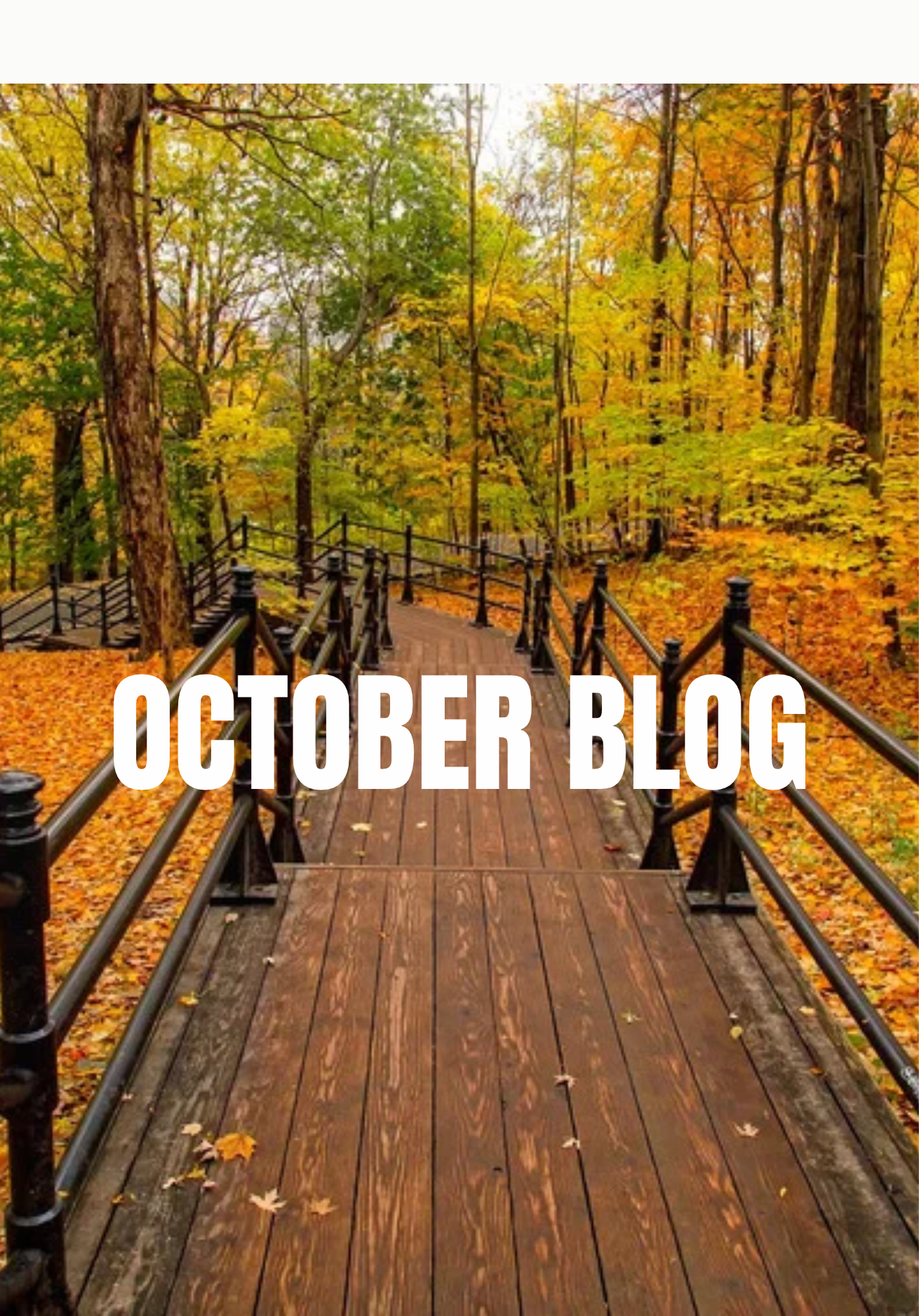 Blog about October in Aspen in the Fall